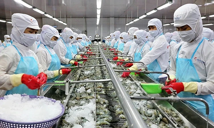 Xuất khẩu tôm trước thách thức “lội ngược dòng”