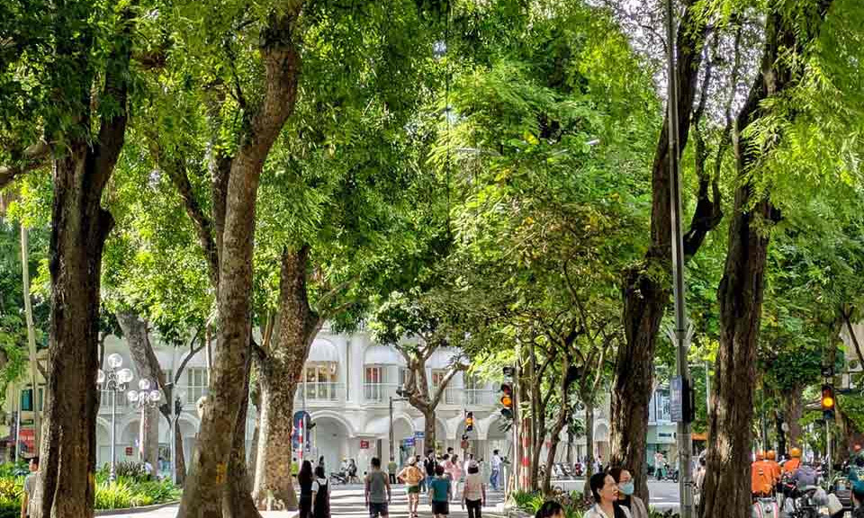 Dạo phố ngắm Hà Nội mơ màng những ngày chớm thu 