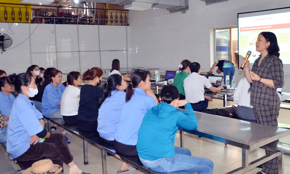 BHXH tỉnh: Nỗ lực hoàn thành các chỉ tiêu kế hoạch
