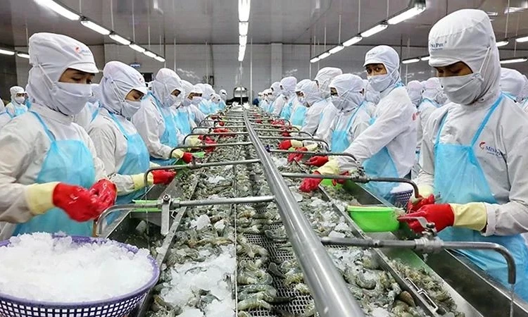 Strategies needed for shrimp sector to meet export target: insiders 