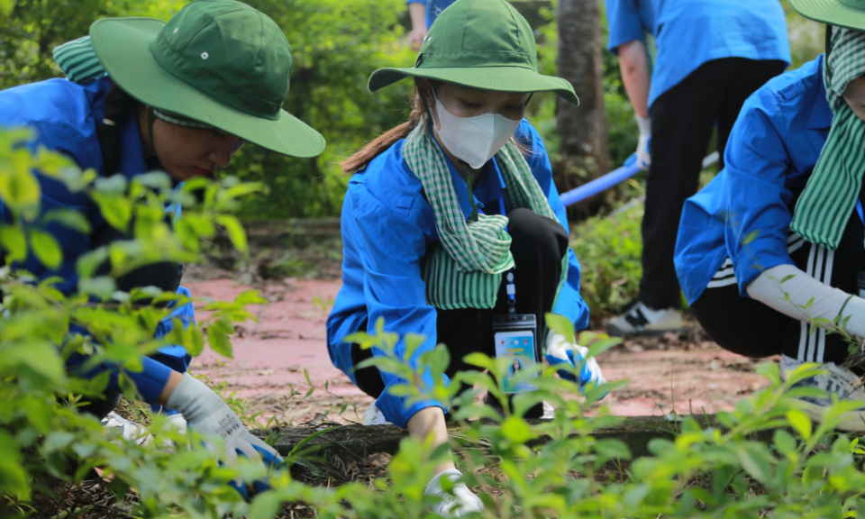 Phát huy sức trẻ