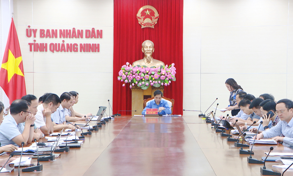 Đẩy nhanh tiến độ các dự án, công trình điện trên địa bàn