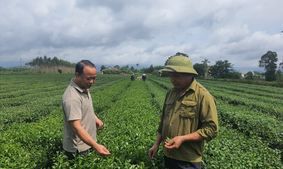 Phát triển nông nghiệp bền vững