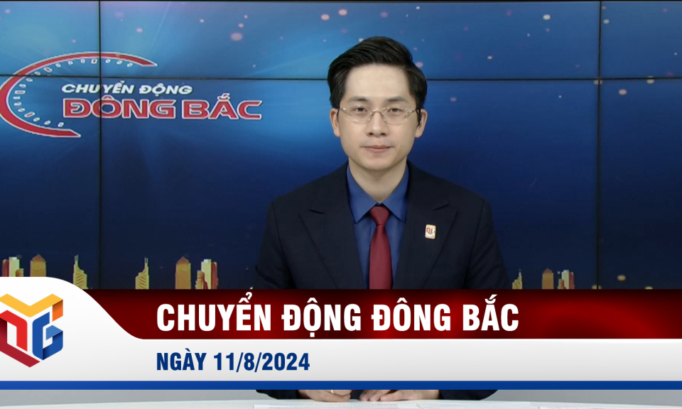 Chuyển động Đông Bắc ngày 11/8/2024