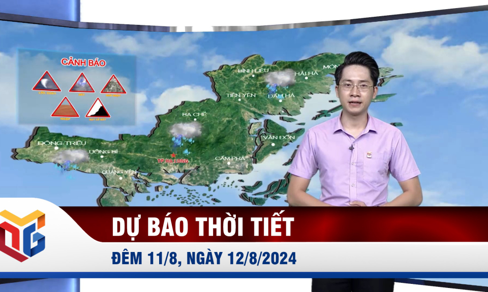 Dự báo thời tiết đêm 11/8, ngày 12/8/2024