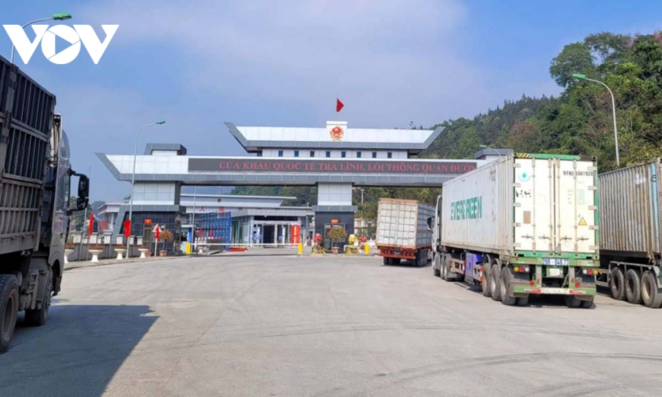 Bản tin vùng Đông Bắc ngày 12/8/2024