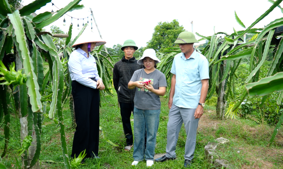 Vân Đồn nâng cao thu nhập cho người dân