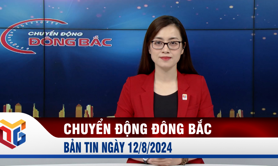 Chuyển động Đông Bắc ngày 12/8/2024