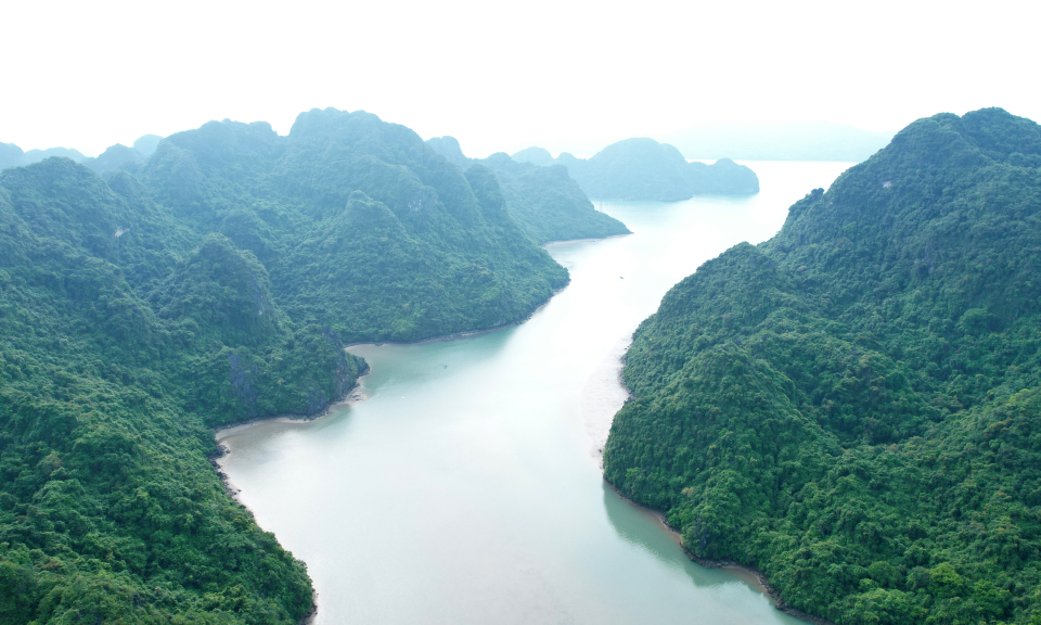 Khám phá rừng trên đảo Trà Ngọ