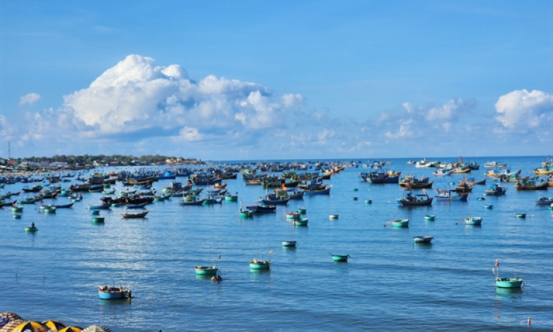 National marine plan outlines strategic vision