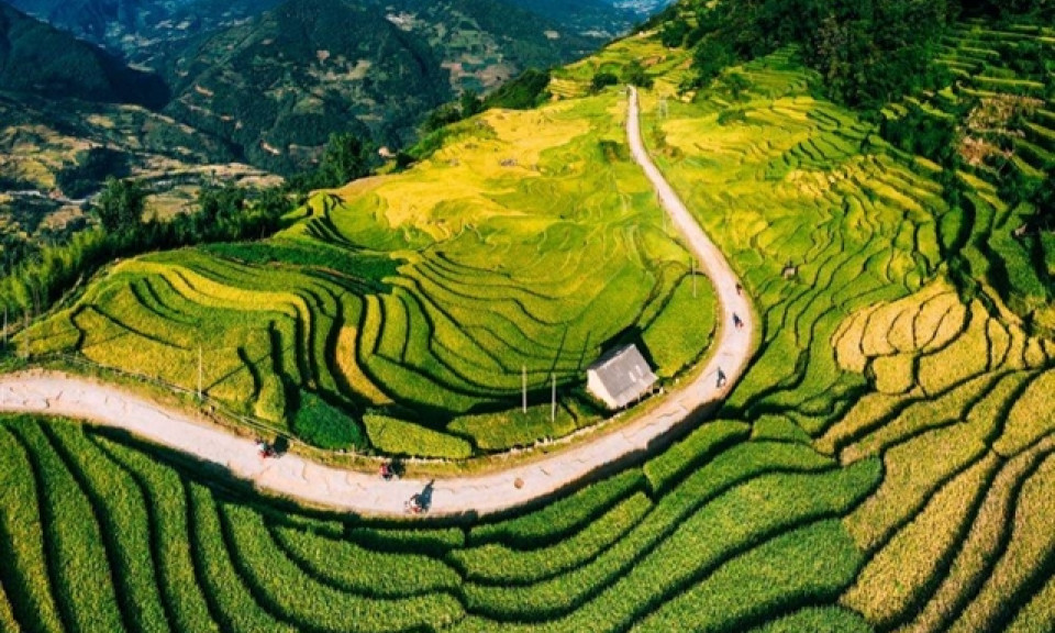 Uncovering the enchanting allure of Y Tý