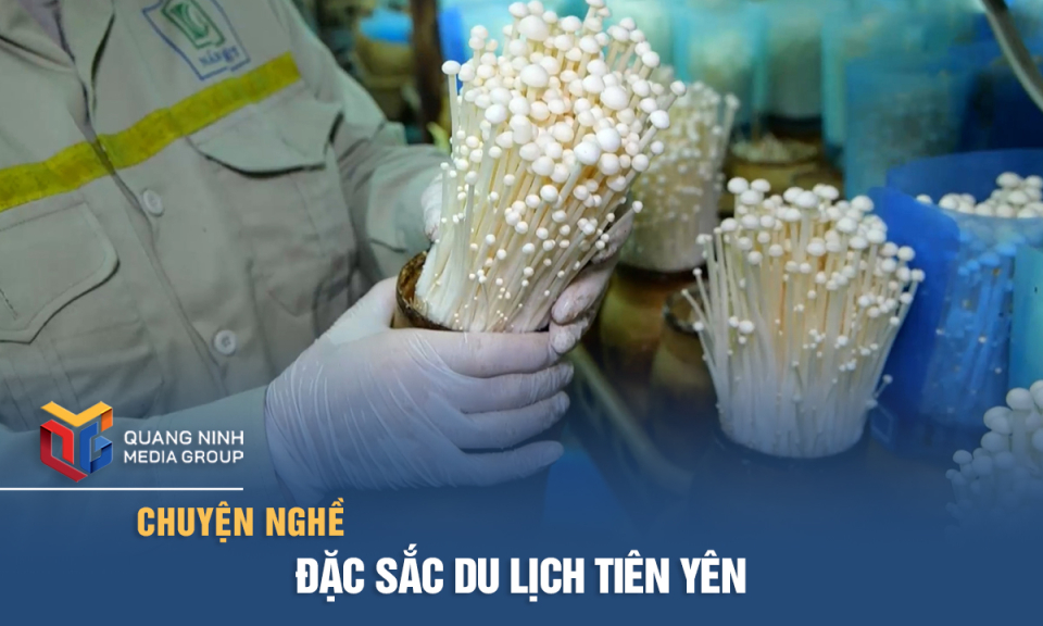 Nghề nuôi cấy nấm