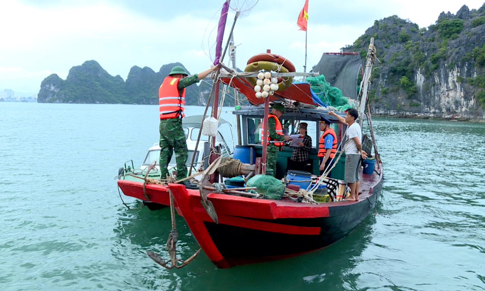 Chống khai thác hải sản trái phép trên Vịnh Hạ Long