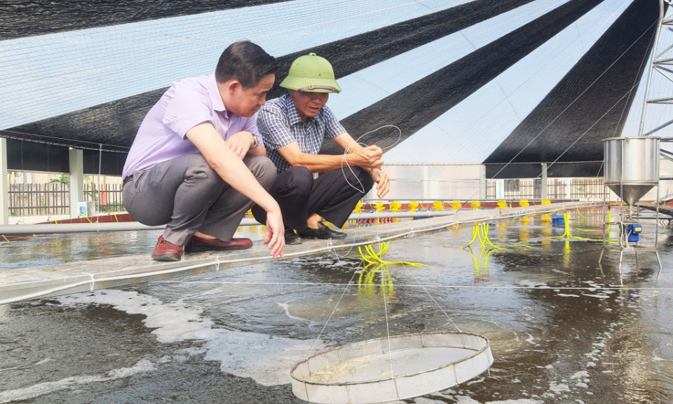 Nông dân ứng dụng công nghệ cao vào sản xuất