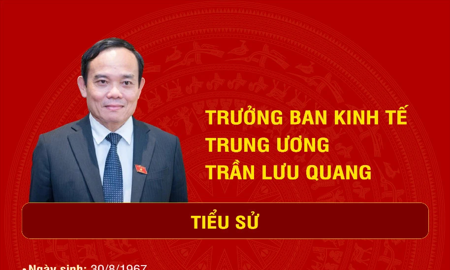 Tiểu sử tân Trưởng Ban Kinh tế Trung ương Trần Lưu Quang