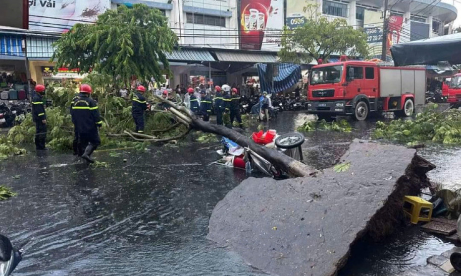 Cây bật gốc đè trúng người trên đường phố Đà Nẵng