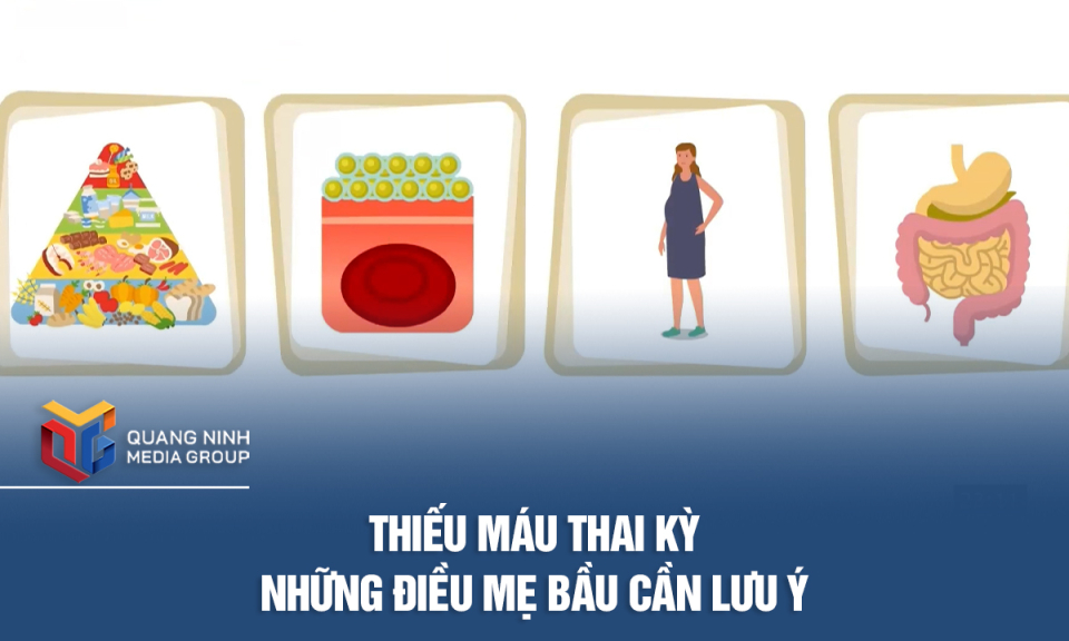 Thiếu máu thai kỳ - Những điều mẹ bầu cần lưu ý