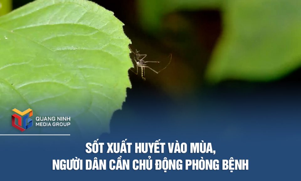 Sốt xuất huyết vào mùa, người dân cần chủ động phòng bệnh