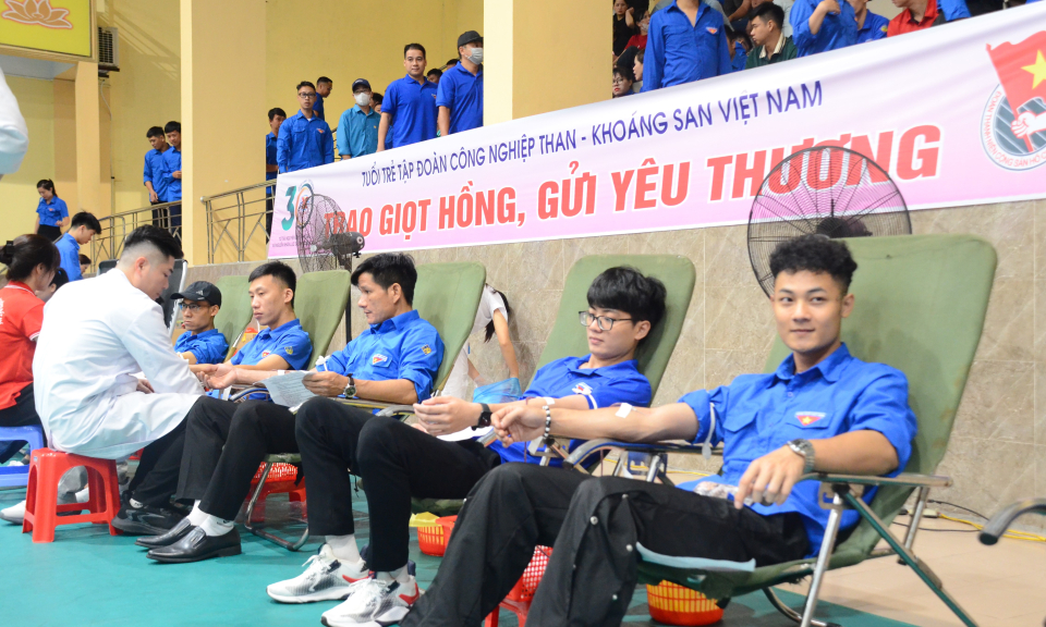 Thanh niên Tập đoàn TKV hiến máu tình nguyện