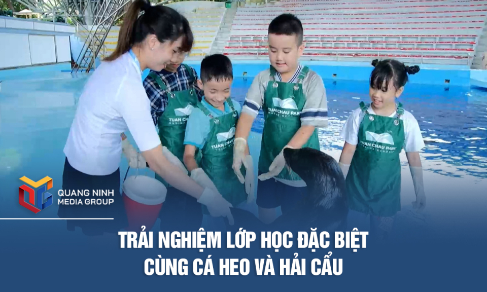 Trải nghiệm lớp học đặc biệt cùng cá heo và hải cẩu