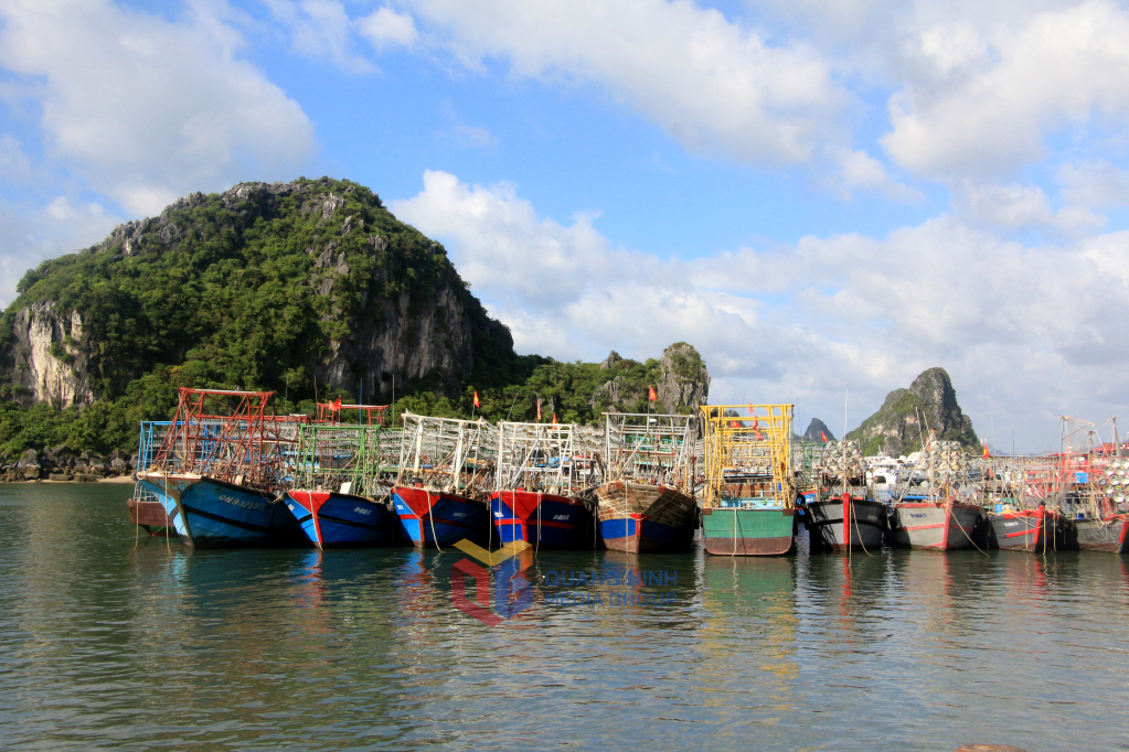 Tàu khai thác cá tuyến khơi neo đậu tại cảng Cái Rồng (Vân Đồn).