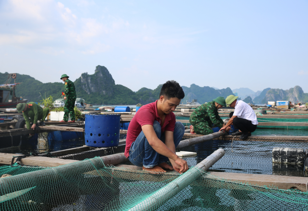 Vận động các tàu, bè vào nơi tránh trú bão an toàn.