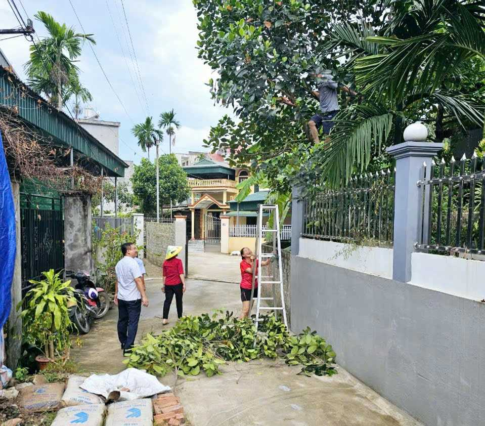 Người dân phường Quang Trung, TP Uông Bí chặt bỏ cành cây cao có thể gãy đổ khi mưa bão xảy ra.