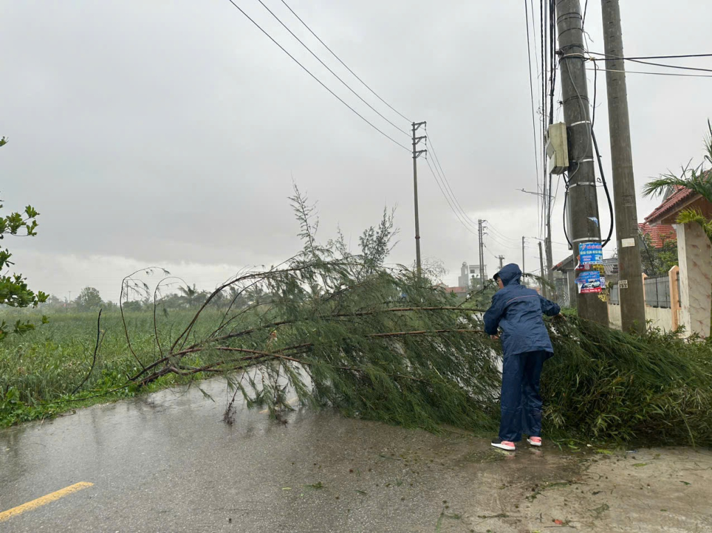 Cây xanh gãy đổ trên nhiều tuyến đường của thị xã Quảng Yên.