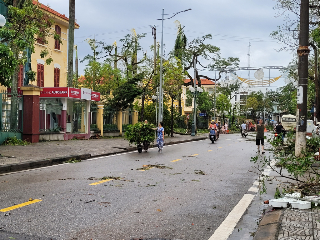 Ngay sau bão cán bộ, công nhân Công ty CP giao thông công chính thị xã đã ra quân dọn, dẹp để nối lại giao thông.