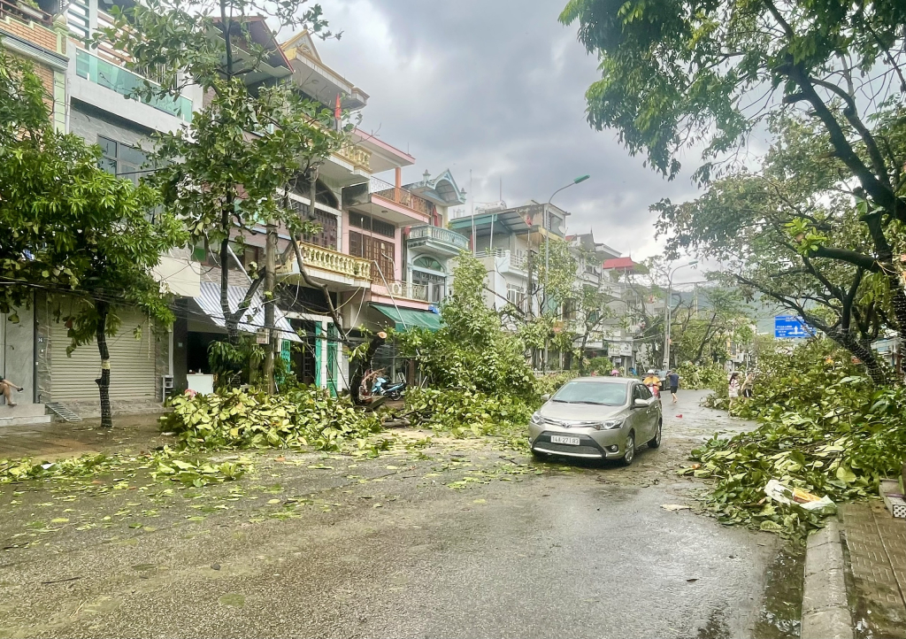 Với sự chủ động, đồng lòng của chính quyền địa phương, nhiều tuyến đường, khu phố bị ảnh hưởng giao thông do cây đổ đã được thông thoáng.
