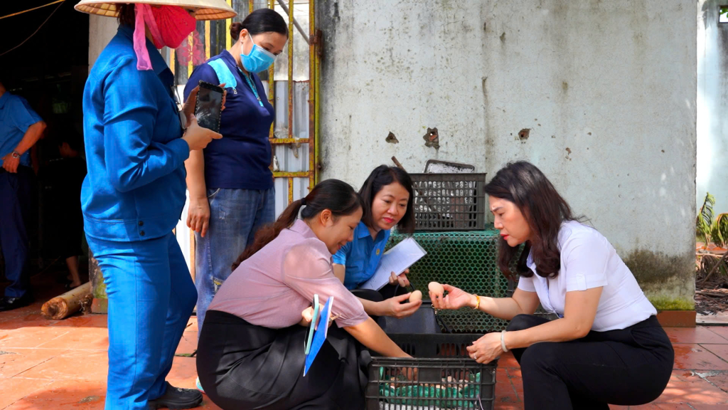 Công đoàn TKV nghiệm thu mô hình nuôi gà của chị Phạm Thị Huệ, Công ty CP Than Mông Dương.