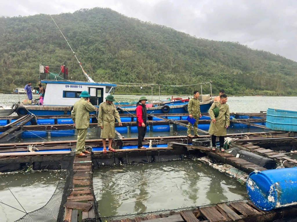 phòng nông nghiệp và phát triển nông thôn huyện phối hợp với xã Cái Chiên đã đi kiểm tra, rà soát lại thiệt hai sau cơn bão số 3 tại xã Cái Chiên.