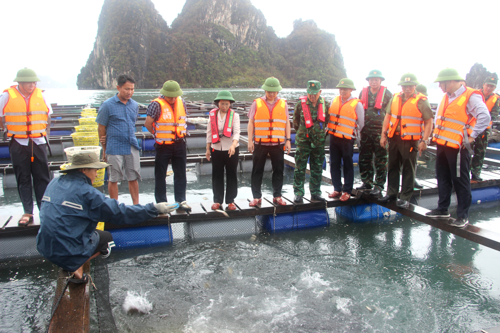 Đồng chí Phó Bí thư Thường trực Tỉnh ủy, đến thăm HTX Nuôi trồng thủy sản và Dịch vụ thương mại XNK Phúc Nam tại hòn Ông Cụ, phường Cẩm Đông (TP Cẩm Phả), còn sót lại sau bão số 3.