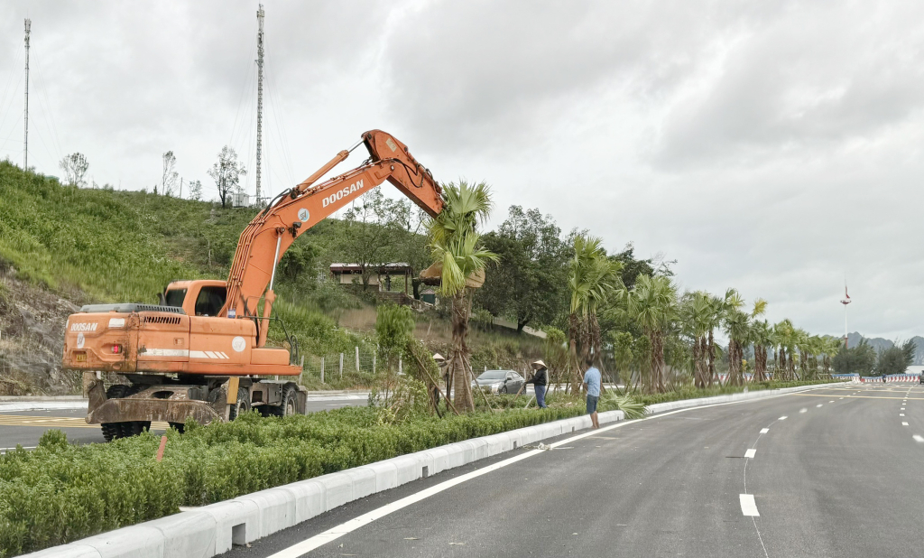 … và trồng mới, thay thế những cây xanh bị gãy đổ sau bão.