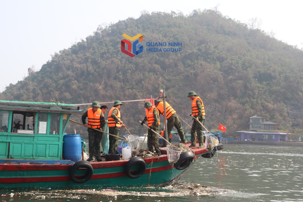 Lực lượng Bộ chỉ huy bộ đội Biên phòng tỉnh hỗ trợ công tác thu gom rác trên Vịnh Hạ Long.