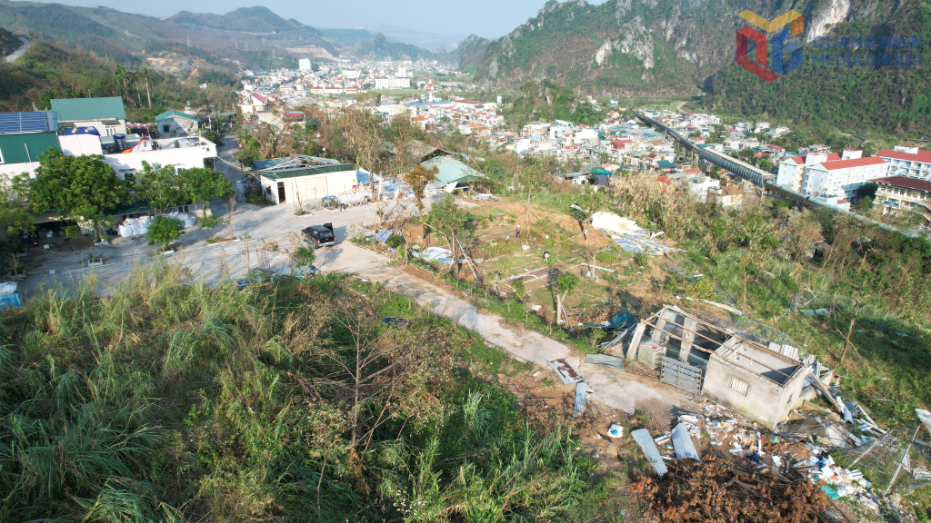 Khu vực xuất hiện 