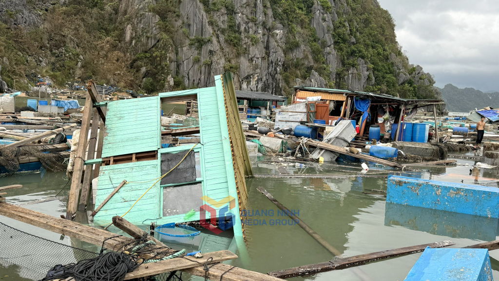 Các ô lồng nuôi cá bị sóng đánh tan hoang, rách nát, gần như mất trắng vì cá chạy ra ngoài. Các ô lồng nuôi cá bị sóng đánh tan hoang, rách nát, gần như mất trắng vì cá bơi ra ngoài khơi. 