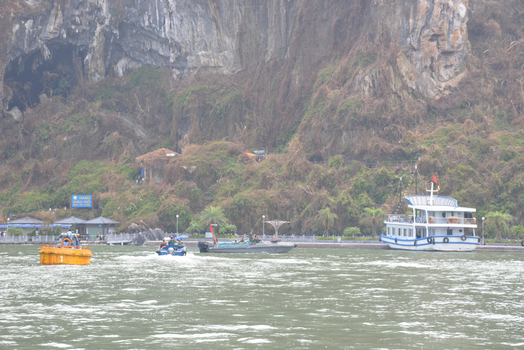 Môi trường biển khu vực hang Đầu Gỗ từng bước được trả lại màu xanh vốn có.