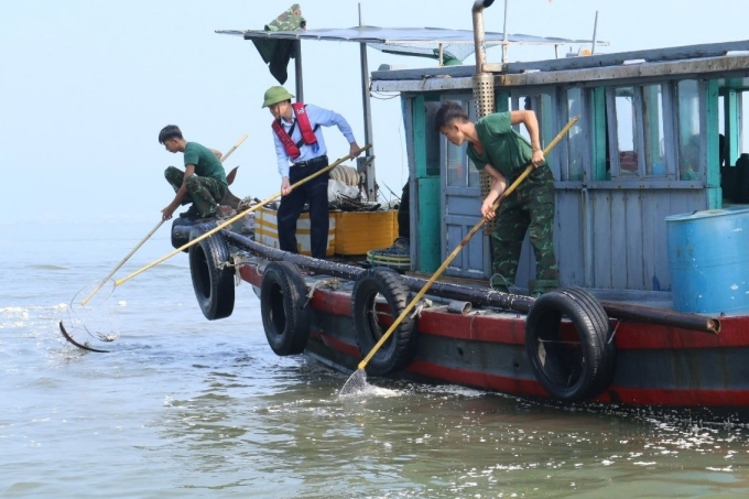 Bộ đội tham gia thu gom rác, làm sạch vịnh Hạ Long hôm 15/9