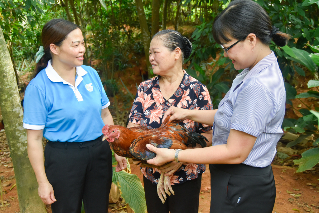Cán bộ Hội LHPN huyện Ba Chẽ nắm tình hình triển khai mô hình sản xuất nông nghiệp của hội viên. Ảnh: Hoàng Giang