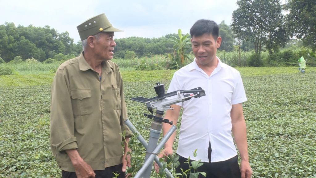 Ông Bùi Văn Cử (đội mũ) bên hệ thống tưới tiết kiệm cho vườn chè.