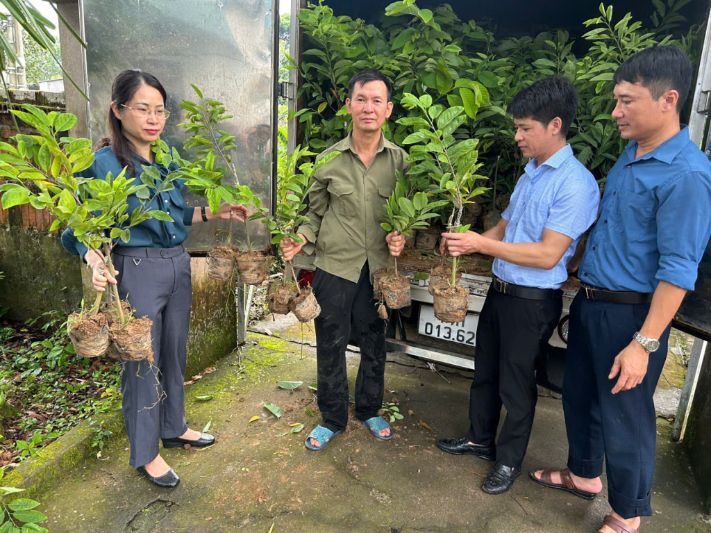 Bí thư chi bộ trưởng thôn Nịnh Văn Toàn, luôn gương mẫu đi đầu chuyển đổi cơ cấu cây trồng vật nuôi.