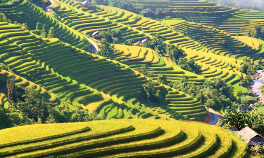 Bản tin vùng Đông Bắc ngày 02/9/2024