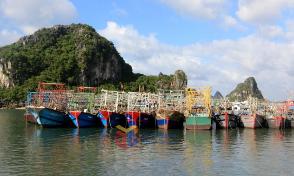 Quang Ninh urgently prepares to respond to strengthening Storm Yagi