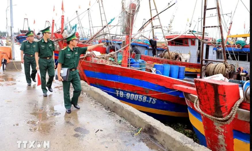 Vietnam makes great efforts to get EC's yellow card removed: Official 