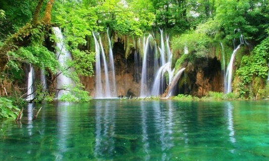 Cuc Phuong crowned Asia's top National Park for sixth consecutive year