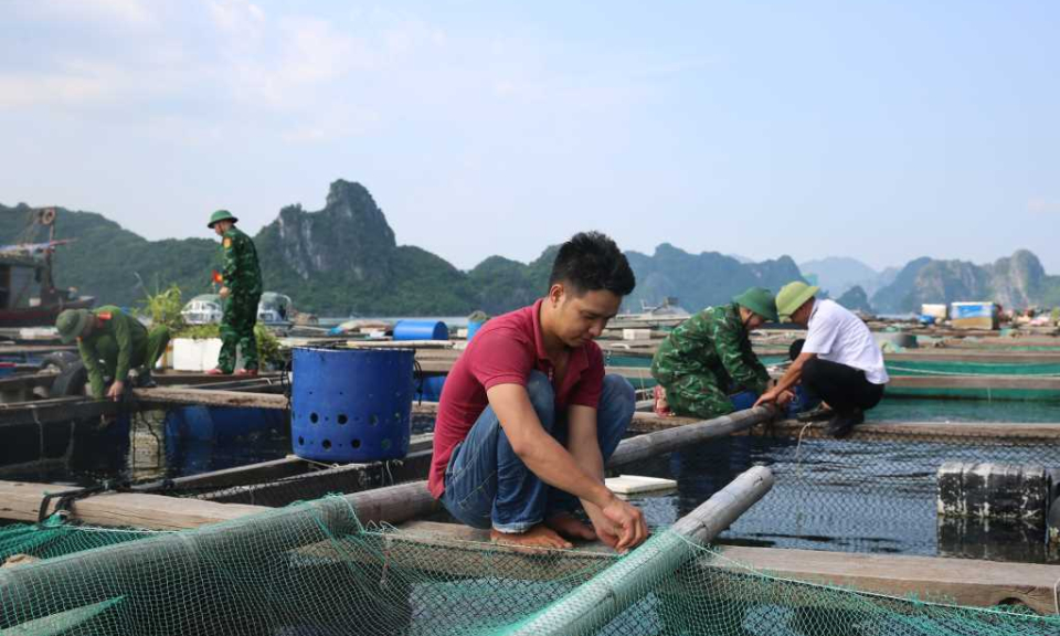 Người dân chủ động phòng, chống bão số 3