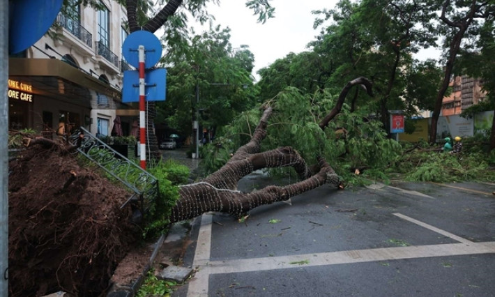 At least 14 killed, 176 injured by super typhoon Yagi