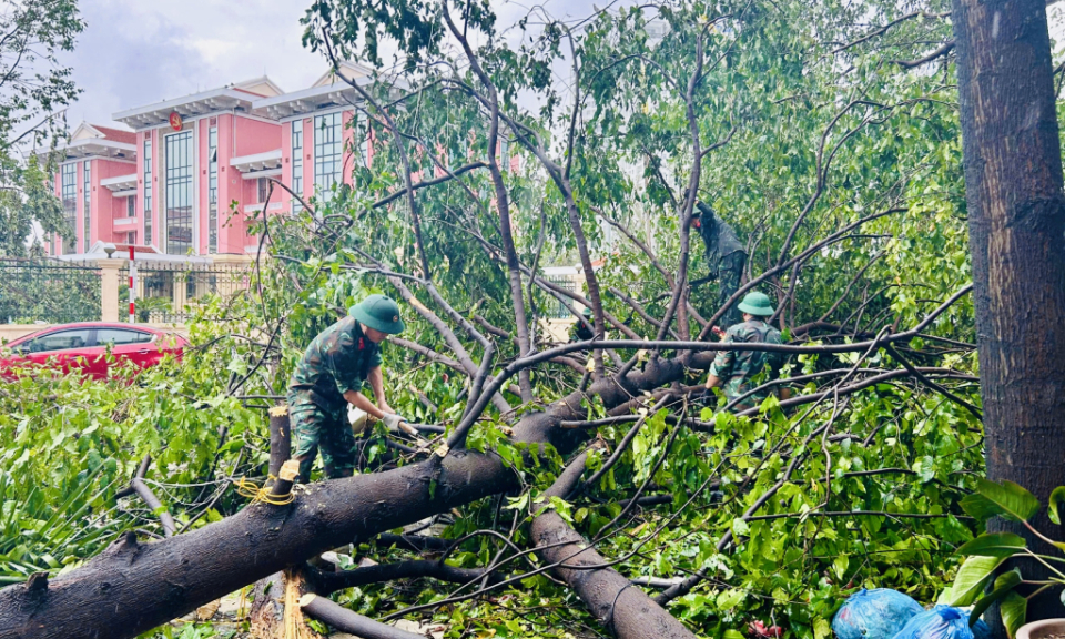 Ha Long city: Authorities, residents pitch in to clean up typhoon damage