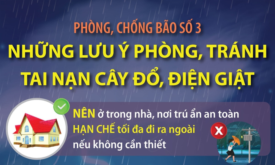 Phòng, chống bão số 3: Những lưu ý phòng, tránh tai nạn cây đổ, điện giật